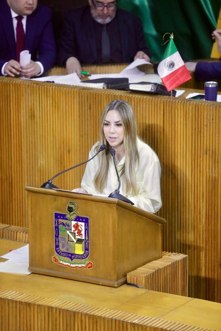 DIP. PERLA VILLARREAL (1)