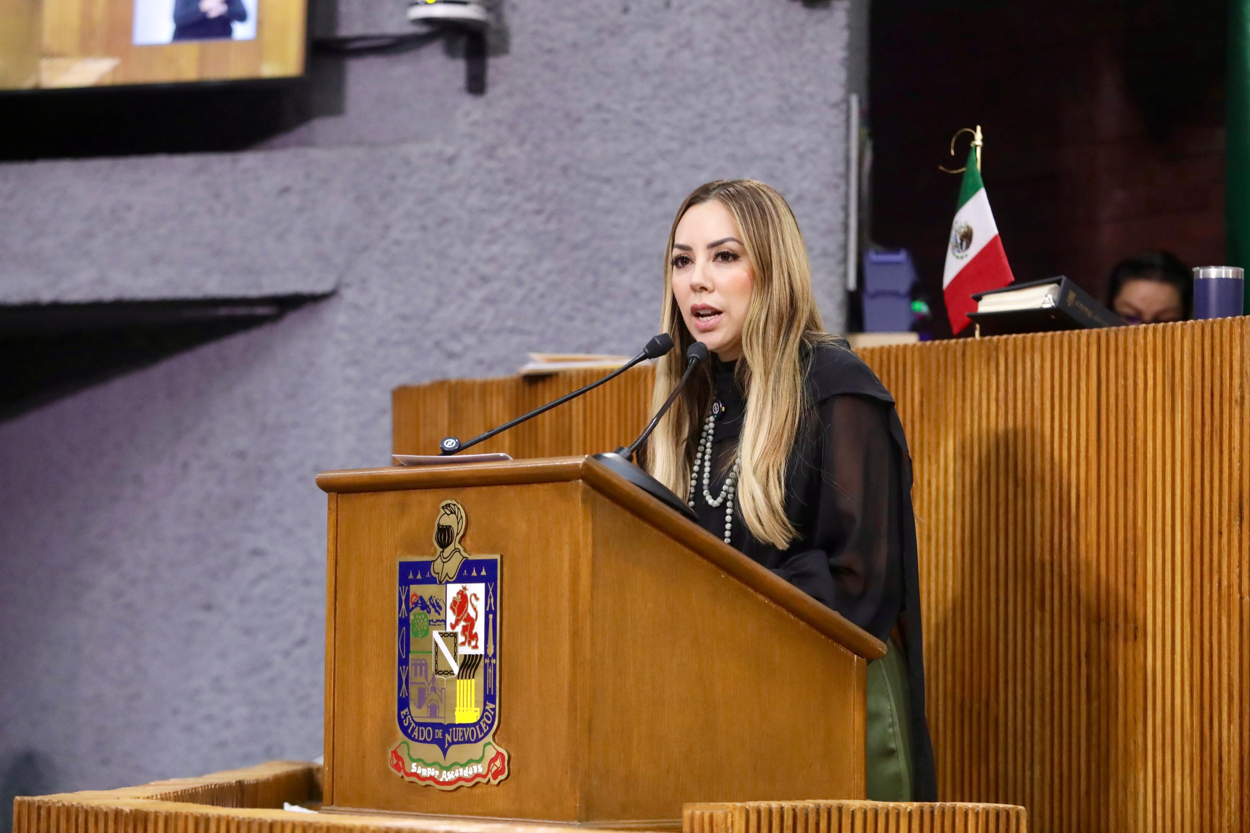 DIP. PERLA VILLARREAL