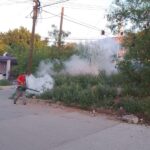 campana-intensiva-de-fumigacion-este-lunes-en-colonias-de-guaymas-676114