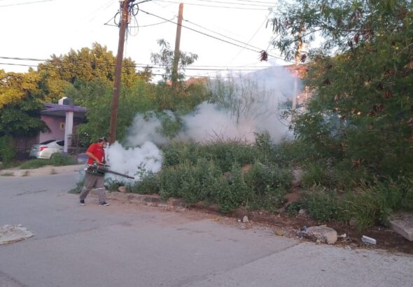 campana-intensiva-de-fumigacion-este-lunes-en-colonias-de-guaymas-676114