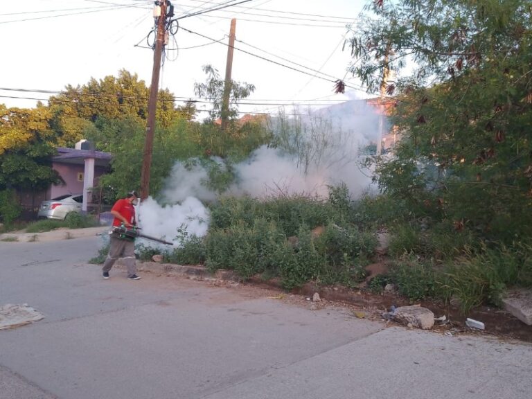 campana-intensiva-de-fumigacion-este-lunes-en-colonias-de-guaymas-676114